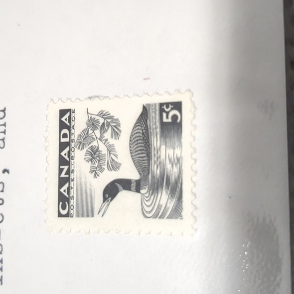 1957 Common Loon Stamp Sheet - Picture 5 of 7